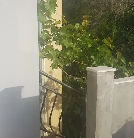 Brane Betina Betina (Sibenik-Knin)